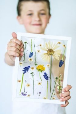 fleurs cadre fleurs cadre